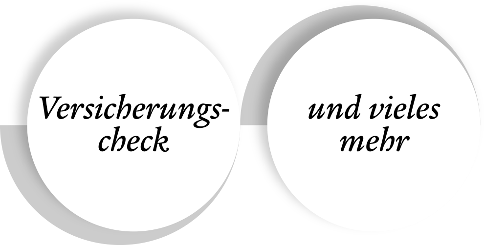Begriffe „Versicherungscheck“ und „und vieles mehr“ zeigen  Themenbereiche der ganzheitlichen privaten Finanzberatung.