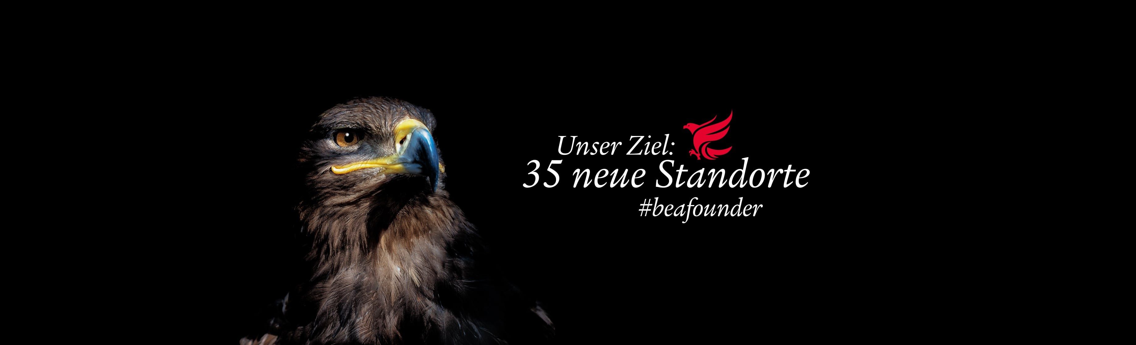 Header_Website_Adler_3680-x-1119