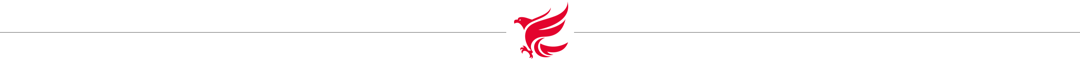 Spacer-Website_Adler_210-x-1119