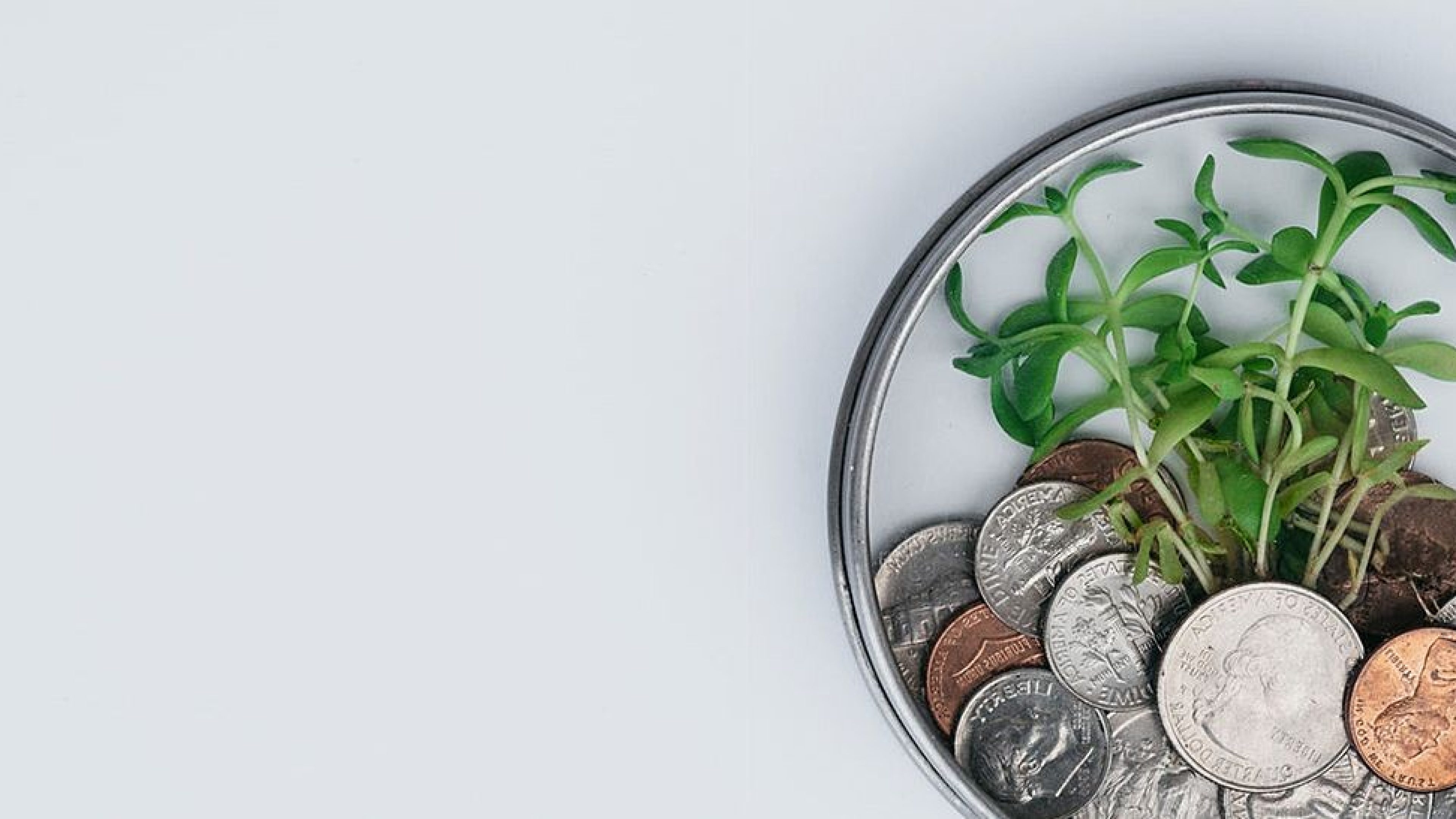 sls-header-investment